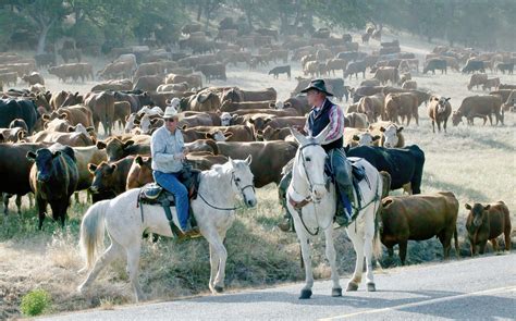 Image result for ranching