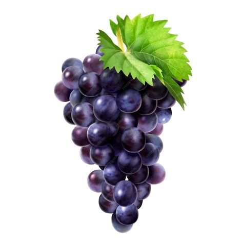 Fruits Pictures Grapes
