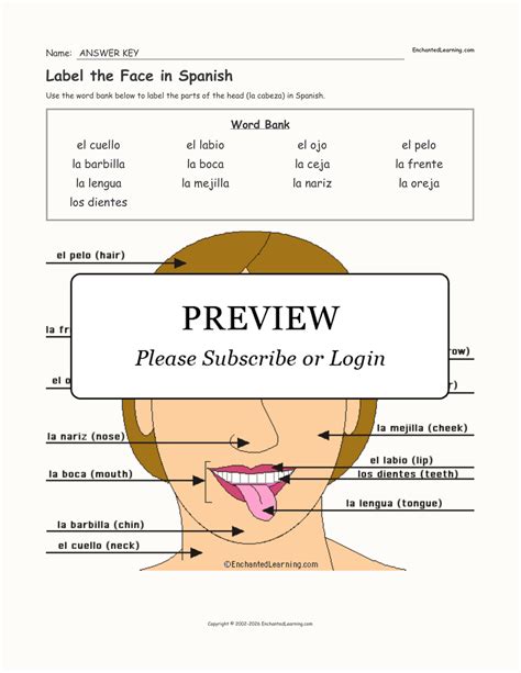 Label the Face in Spanish - Enchanted Learning