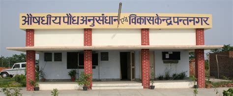 Govind Ballabh Pant University
