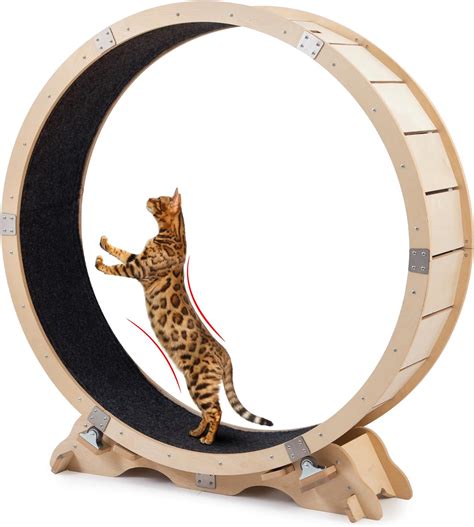 Amazon.com: Decent Vrvege Cat Wheel Treadmill for Indoor Cats, 43 inch ...