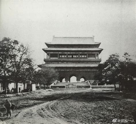 浪漫又梦幻！南京鼓楼广场孔雀绿雕上新，“春色田野”亮相街头_腾讯视频