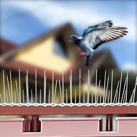 SWAPKART (Pack of 10) Bird and Pigeon Spikes, Pigeon Control Spikes ...