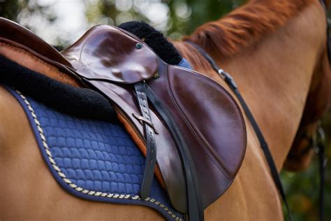 Choosing the Right Saddle for Your Horse: Key Considerations for Comfort and Performance ...