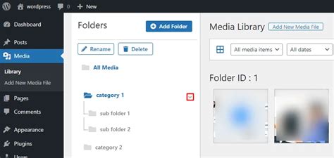Image result for Categorizing Media Files Using Folder in WordPress