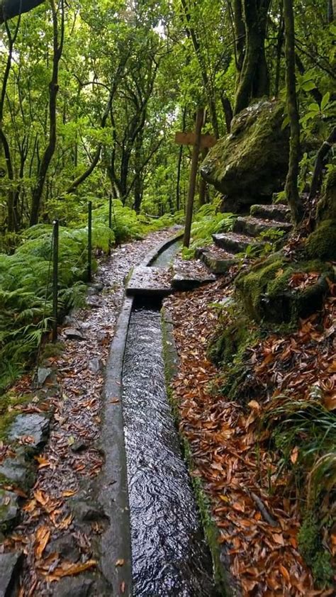 Love Nature 的图像结果