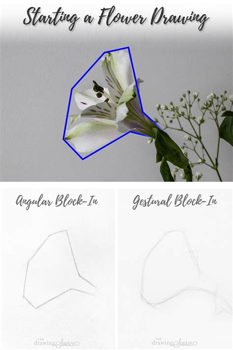 Image result for Drawing Tutorial for Flower