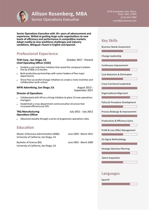 Resume Sample Format 的图像结果
