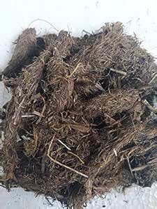 Buy Ambe Ayurveda - Jatamasi Root - Jatamansi Musk Root - Spikenard ...