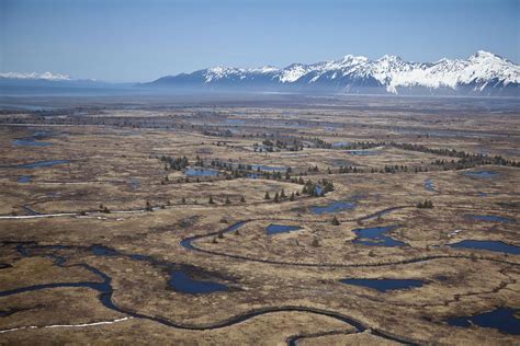 Copper River Delta photo by Hugh Rose with Cheesemans' Ecology Safaris ...