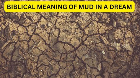 Can The Biblical Meaning Of Mud In A Dream Offer Insights Into Our ...