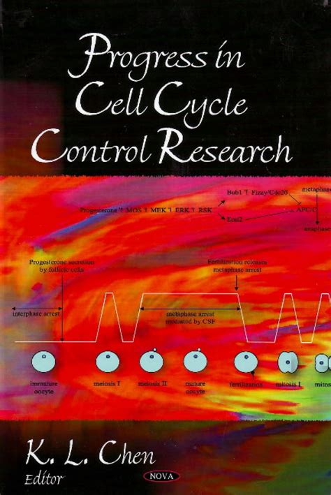 Buy Progress in Cell Cycle Control Research Book Online at Low Prices ...