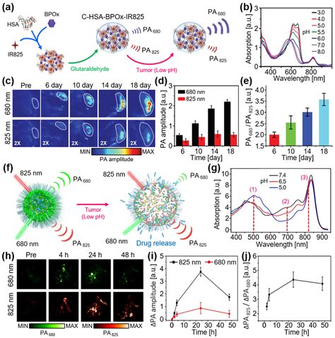 Photoacoustic Imaging of pH-Sensitive Optical Sensors in Biological Tissues
