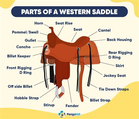 Parts Of The Western Saddle Colorado Roughout Cody Trail Saddle