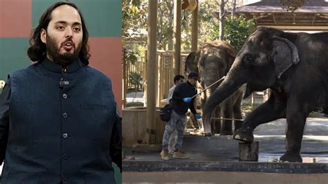 अंबानी Drone Show में क्यों हाइलाइट किया गया गौरी का नाम? दुनिया का ...