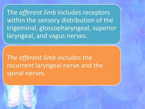 Mechanism of cough | PPTX