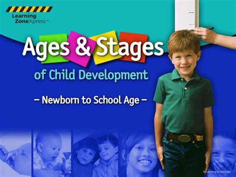 8 Stages of Development with Age 的图像结果