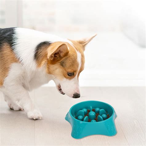IGEED Slow Feeder Dog Bowl for Large Medium Small Dogs,Anti-Slip ...