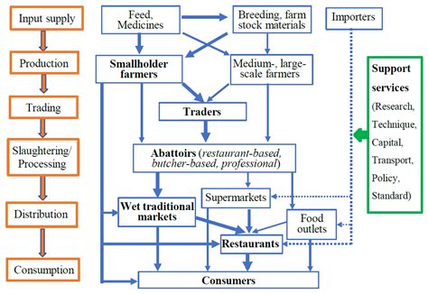 Goat Production, Supply Chains, Challenges, and Opportunities for ...
