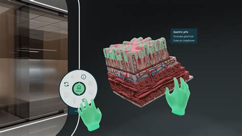 Computer Simulation Anatomy 的图像结果