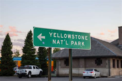 Yellowstone's Conservation Efforts and How Visitors Can Help - Grizzly RV Park