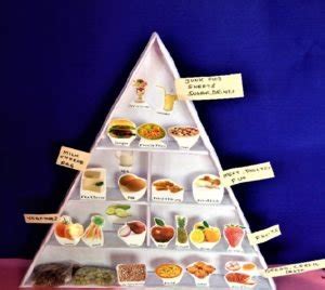 Food Pyramid Project Work 的图像结果