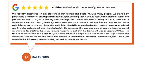 Everything You Need To Know About Wasps Pest Control - Ridall Pest Control