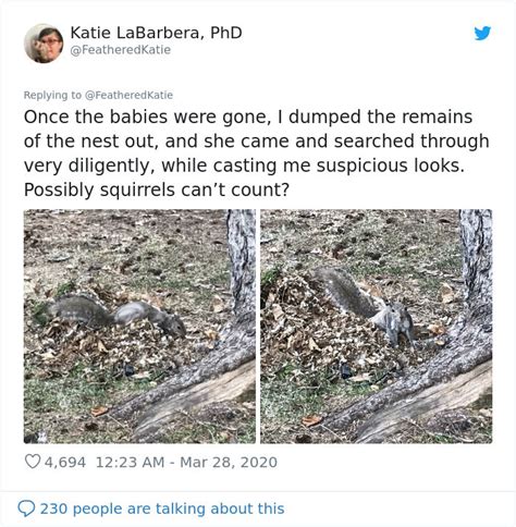 Image result for Girls Running Over Squirrels with Their Cars