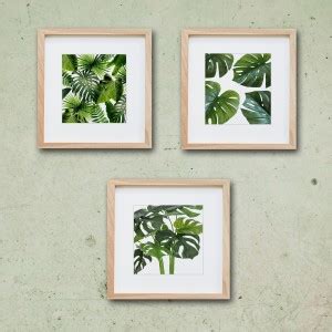 WALLMANTRA Set of 3 Tropical Natural Leaf Wall Painting with Frame ...