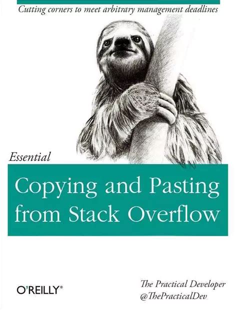 Stack Overflow Tutorial 的图像结果