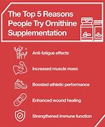 Image result for Benefits of L Ornithine