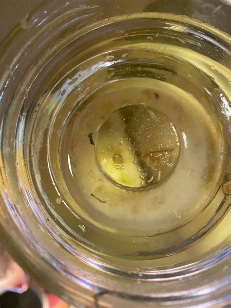 How Do Vinegar Worms Move A Complete Breakdown