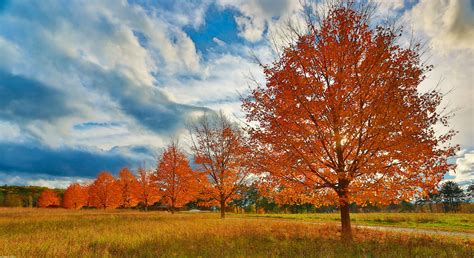 Town Maps | Lincoln, MA - Official Website