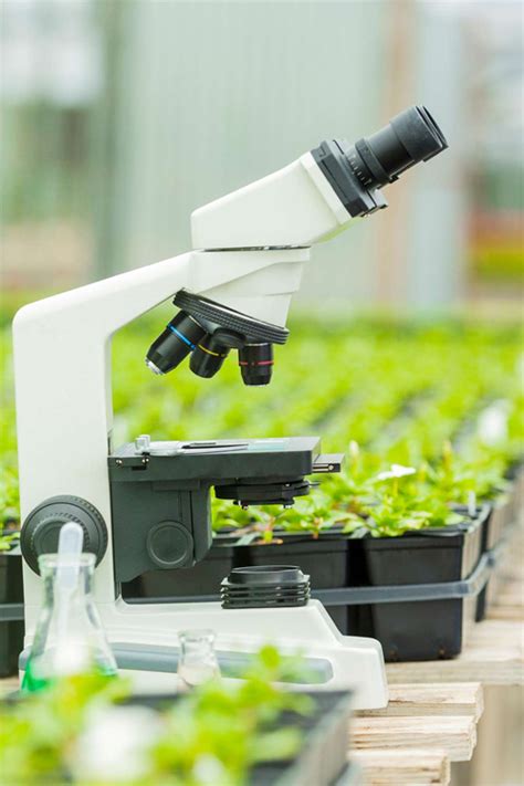 Research & Development - Plantation Services Pan India