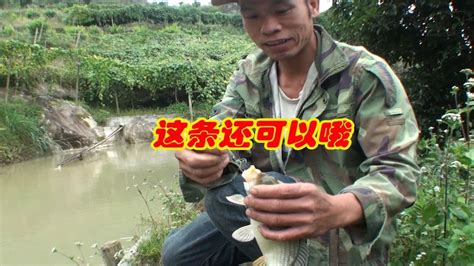 年初挖的鱼塘漏水，看陈师傅怎么把它修复好-三农视频-搜狐视频