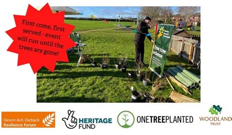 Free Tree Hub Giveaway! , Braunton Countryside Centre, Dulverton, 4 ...