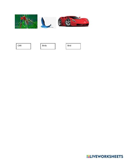 Image result for Coding/Decoding Class 1 GK Worksheet