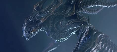 Alien Xenomorph King 的图像结果