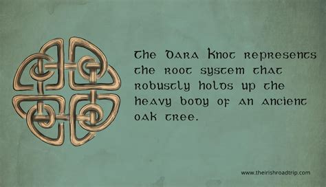 Celtic Shield Knot: Meaning, Symbolism and Tattoo Designs