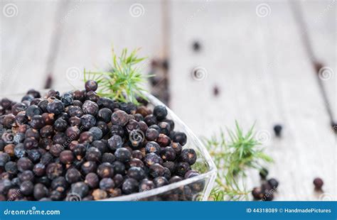 Portion of Dried Juniper Berries Stock Image - Image of food, closeup ...
