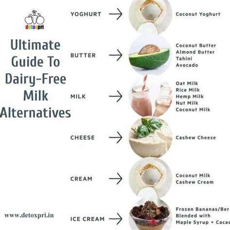 The Ultimate Guide to Dairy-Free Milk Alternatives