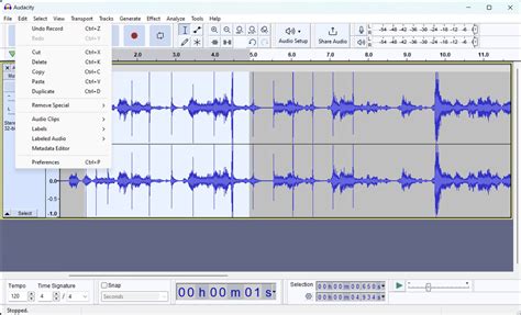 Image result for Editing Audio Using Audacity