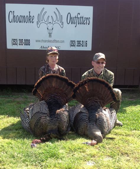 Wild Turkey Hunting In North Carolina at Skye Clarey blog