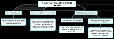 Image result for Informational Data Example