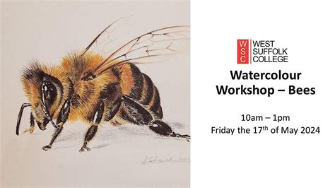 Watercolour Workshop For Beginners - Bees (Friday Morning), West ...