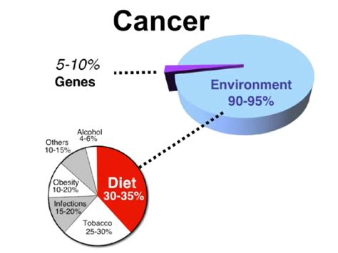 Causes Of Cancer Graph