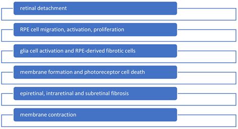 Nano-Based Drug Approaches to Proliferative Vitreoretinopathy Instead ...