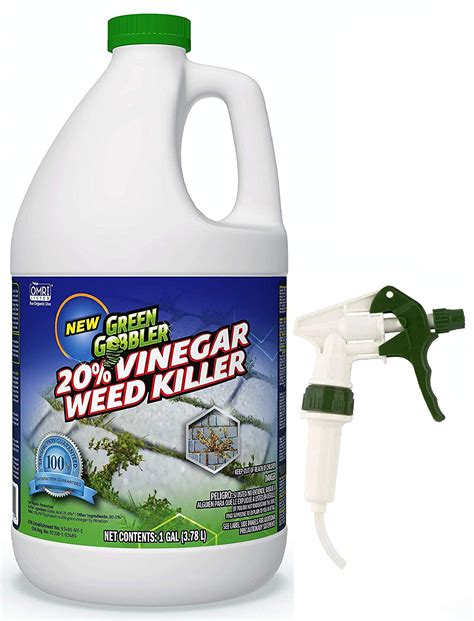 What Is The Best Way To Kill Dandelions In Your Lawn at Tim Sherman blog