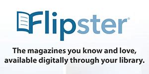 Using Flipster 的图像结果