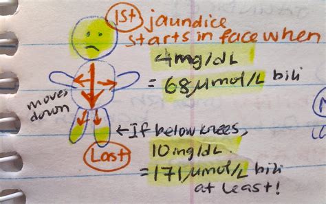 Making Notes Study Skill 的图像结果